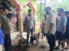 ପରିବାରକୁ ବନ୍ଧକ ରଖି ବଡ଼ ଧରଣର ଡକାୟତି, ୬ ଦୁବୃର୍ତଙ୍କ ଆତଙ୍କ, ୫ ରାଉଣ୍ଡ ଗୁଳି ଫୁଟିଲା, ସୁନା ଅଳଙ୍କାର ସହ ୭୦ ହଜାର ଟଙ୍କା ଲୁଟ୍,ଗୋଟେ ଗୁଳି ଓ ହେଲମେଟ୍ ଜବତ କଲା ପୁଲିସ୍