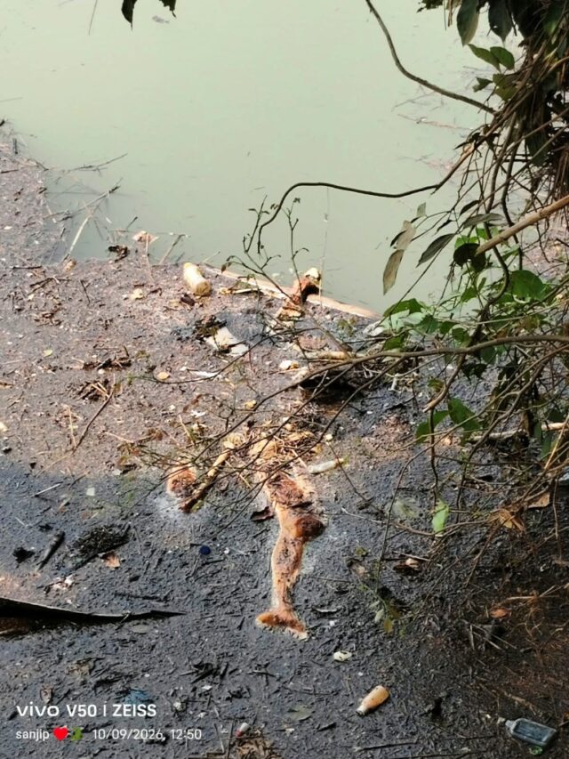 KHOLA NALARE BHASUCHI SABA