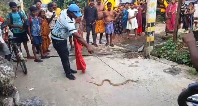 NAPANGA VILLAGE NAGASAPA RESCUE