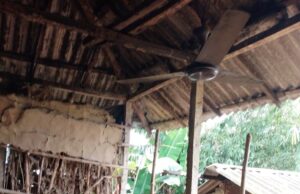 ବର୍ଷାରେ ଭାଙ୍ଗିଲା ଶାନ୍ତିଲତାଙ୍କ ଘର